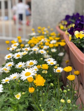 春休み預かり保育