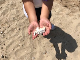 ドキドキのカニとり遠足