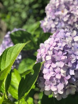 交流会に行ってきました。(年長)
